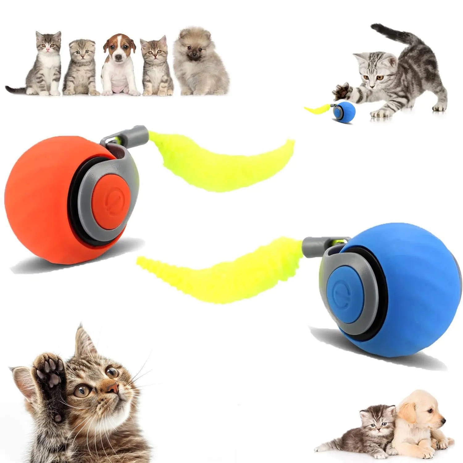 2PCS Speedy Tail 2.0 Speedy Tail cat toy 2025 new generation interactive cat toy USB rechargeable smart cat toy ball two-speed adjustment automatic cat toy ball with tail (orange + blue)